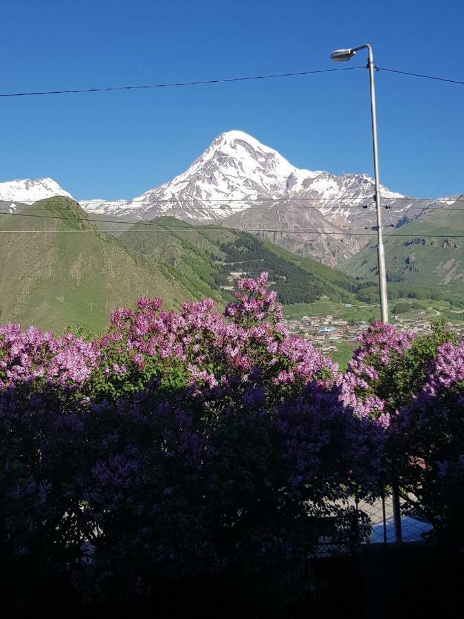 Hilltop Kazbegi Dış mekan fotoğraf